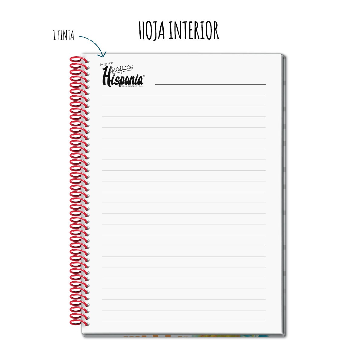 Cuaderno personalizado BASIC TD A4