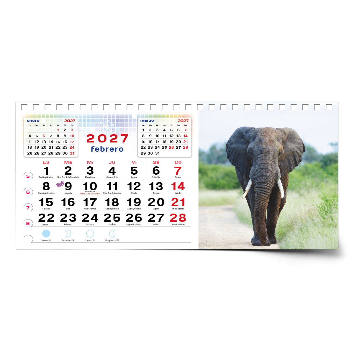 Calendario de mesa con wire-O W-220 ANIMALES - Imagen 6