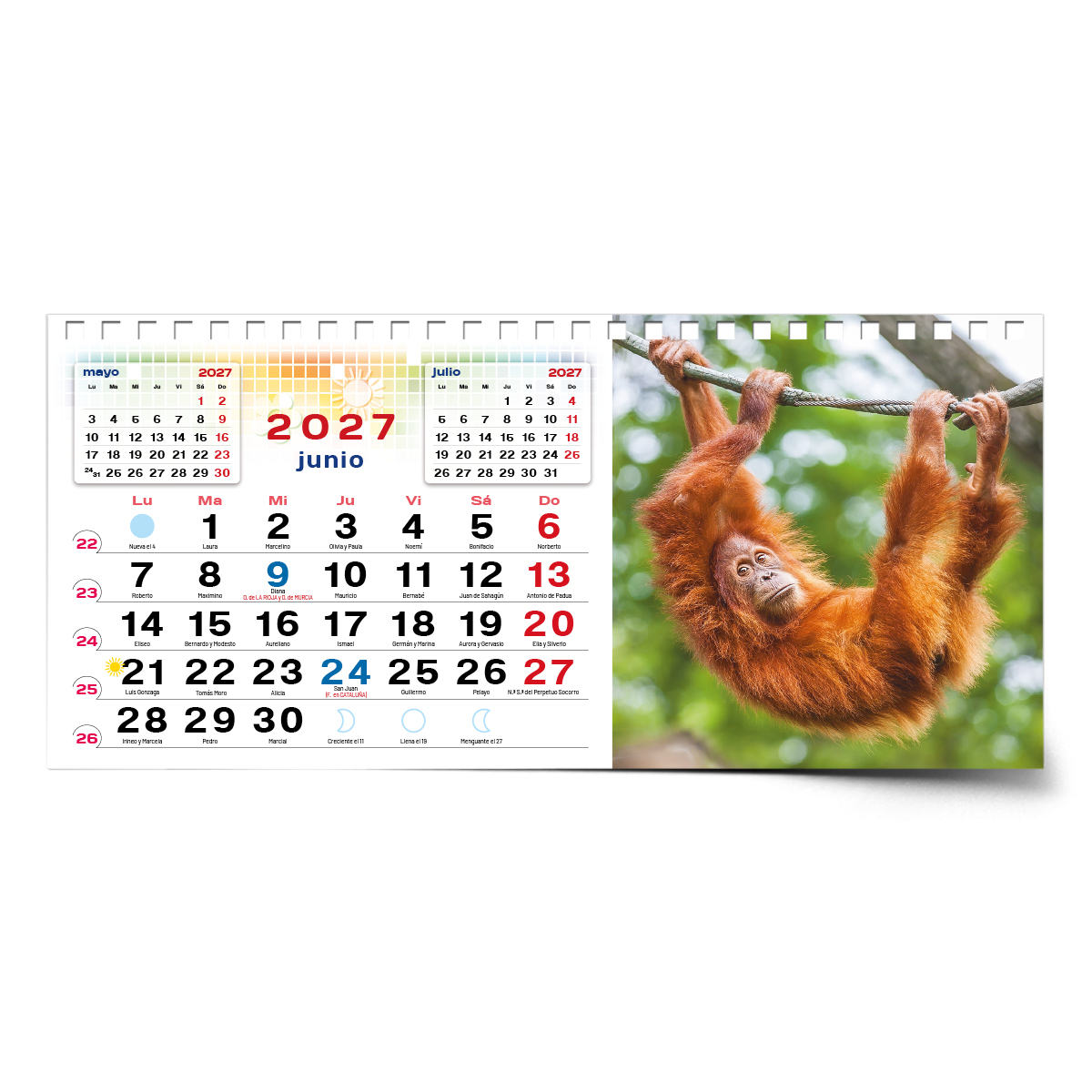 Calendario de mesa con wire-O W-220 ANIMALES - Imagen 10