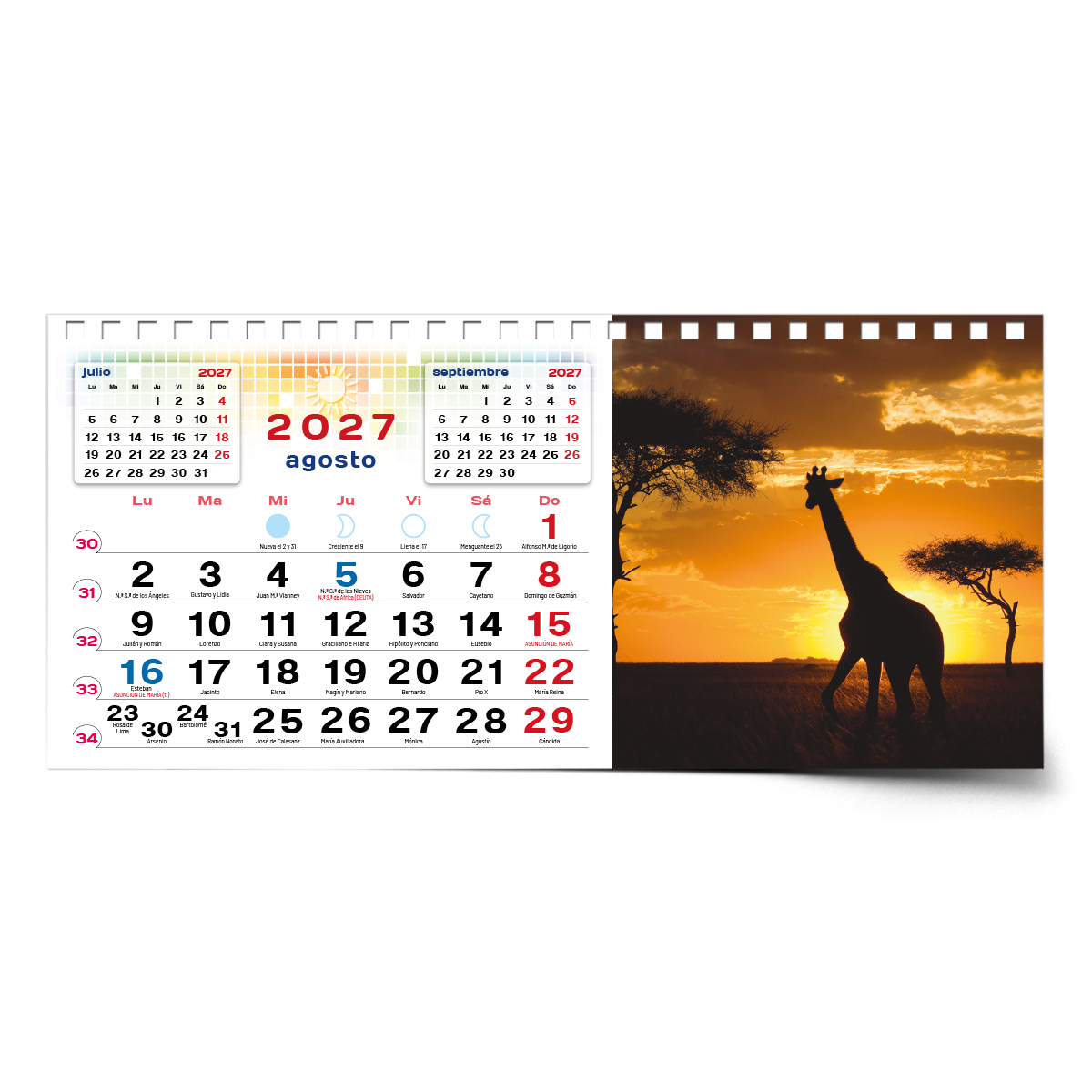 Calendario de mesa con wire-O W-220 ANIMALES - Imagen 12